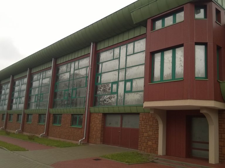 Hala sportowo – widowiskowa – Płoty